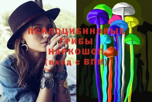 соль ск Арсеньев